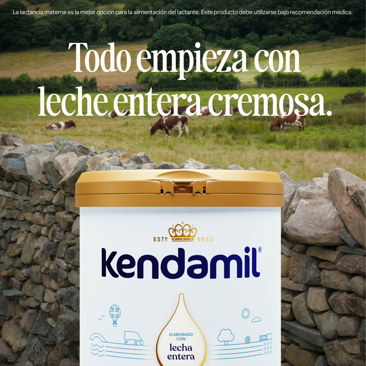 Alimento Lácteo a partir de 1 año Kendamil Clásica