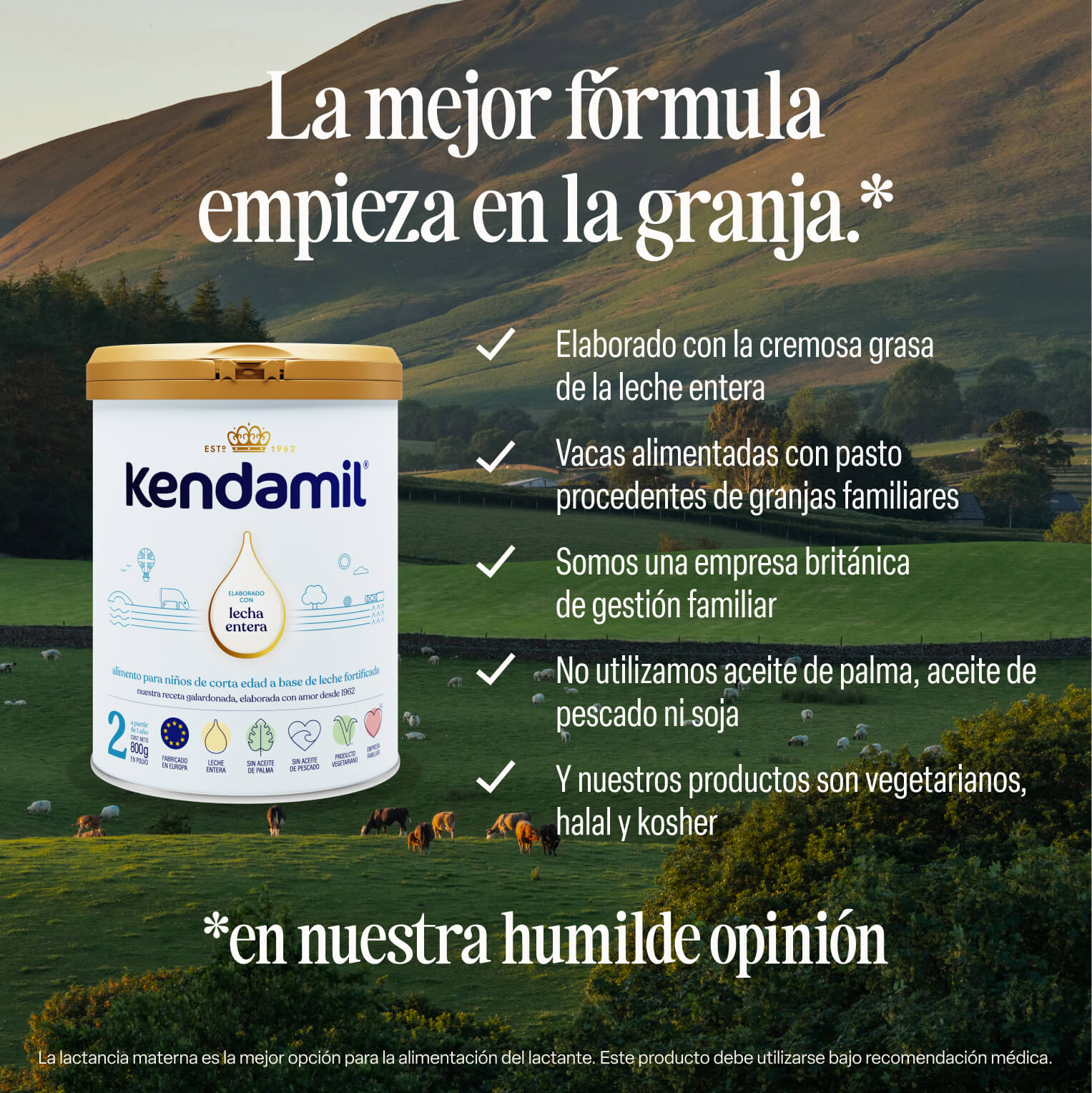 Alimento Lácteo a partir de 1 año Kendamil Clásica