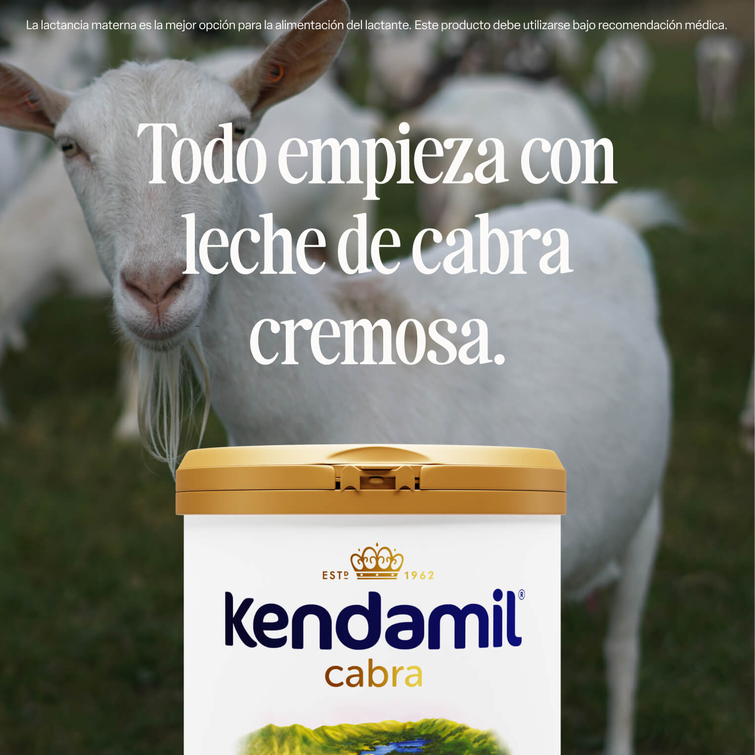 Alimento Lácteo a partir de 1 año Kendamil Cabra
